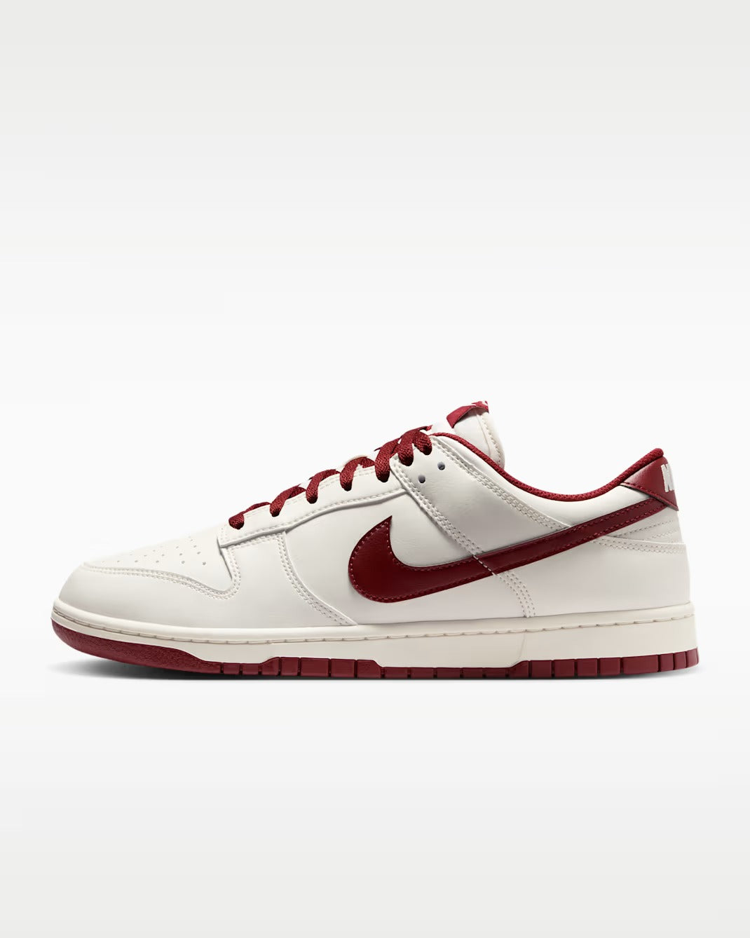 Nike Dunk Low Retro Zipped