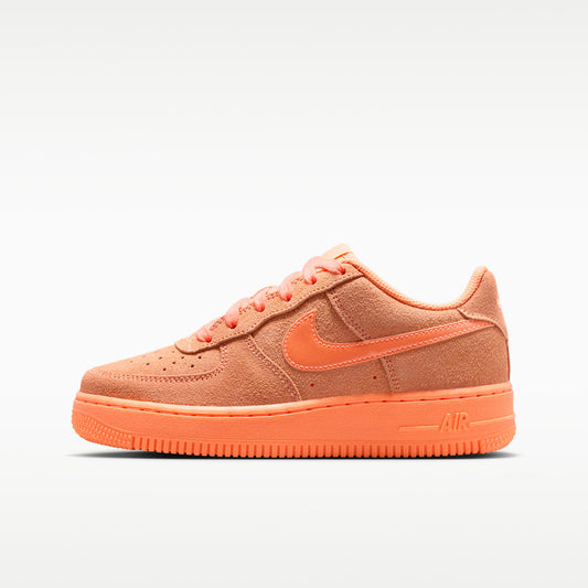 Nike Big Kid Air Force 1 Suede Zipped