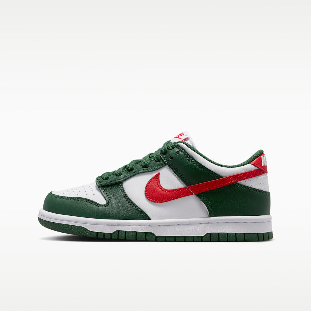 Nike Big Kid Dunk Low Zipped