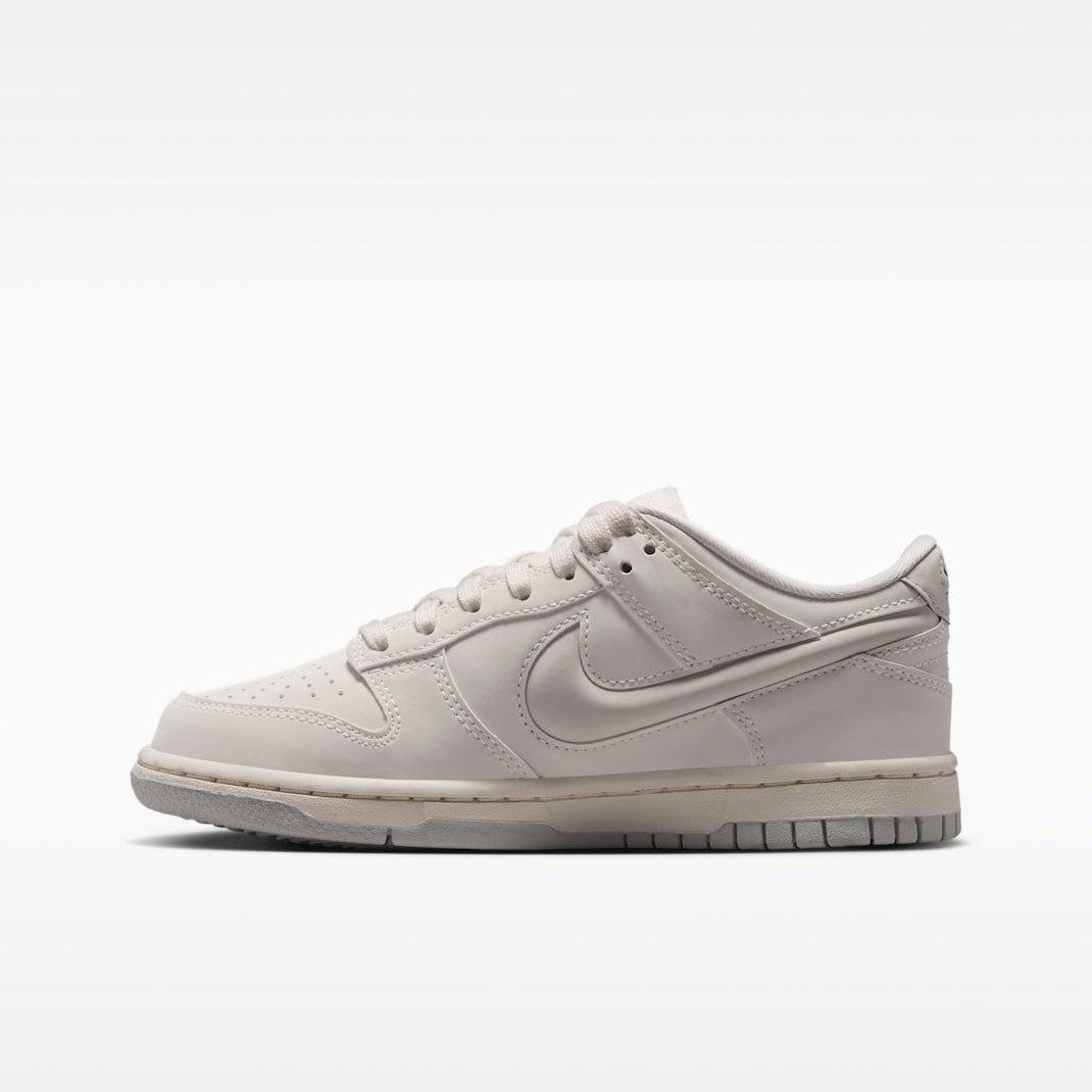 Nike Big Kid Dunk Low LV8 Zipped