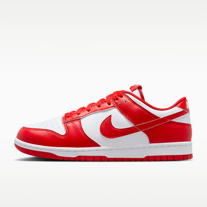 Nike Dunk Low Retro Zipped