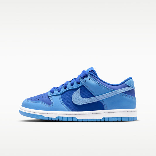 Nike Big Kid Dunk Low SE Zipped