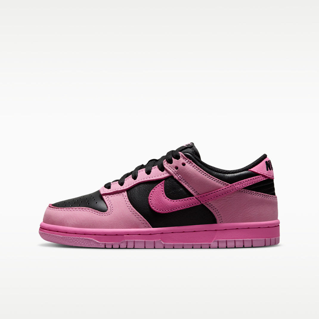 Nike Big Kid Dunk Low SE Zipped