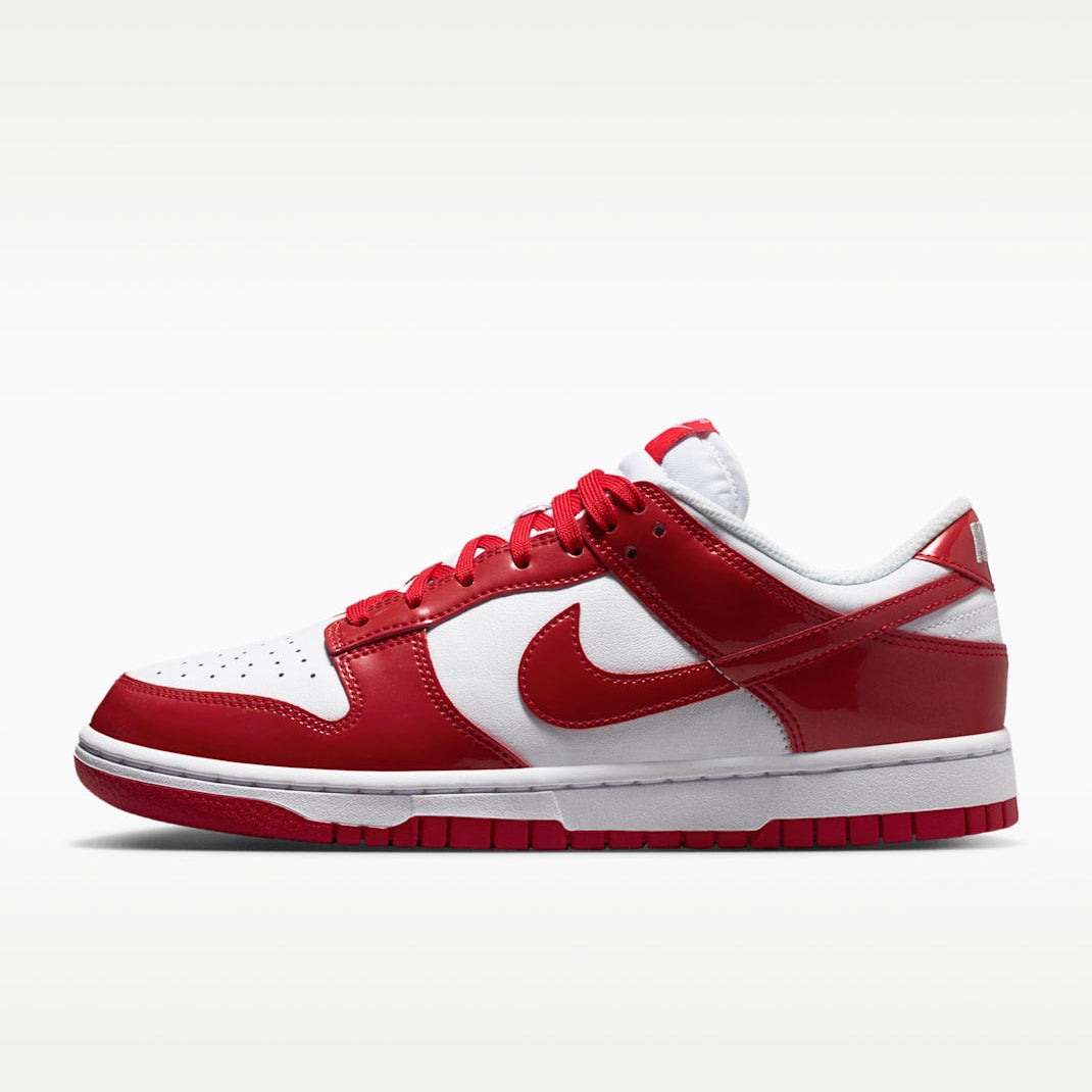 Nike Dunk Low SE Zipped